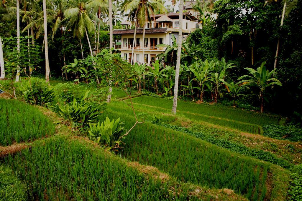 Junjungan Suite Ubud Exteriér fotografie