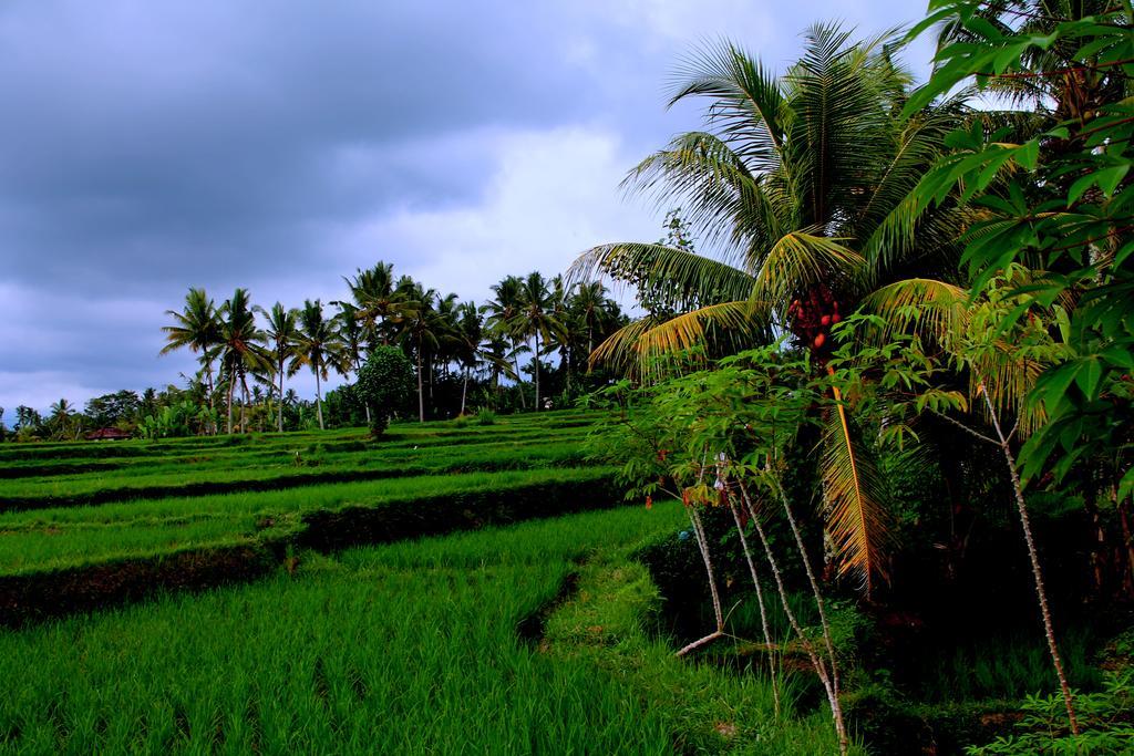 Junjungan Suite Ubud Exteriér fotografie