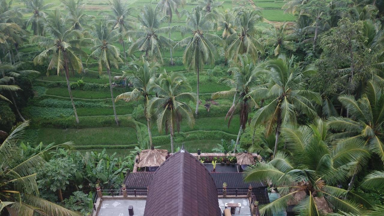 Junjungan Suite Ubud Exteriér fotografie