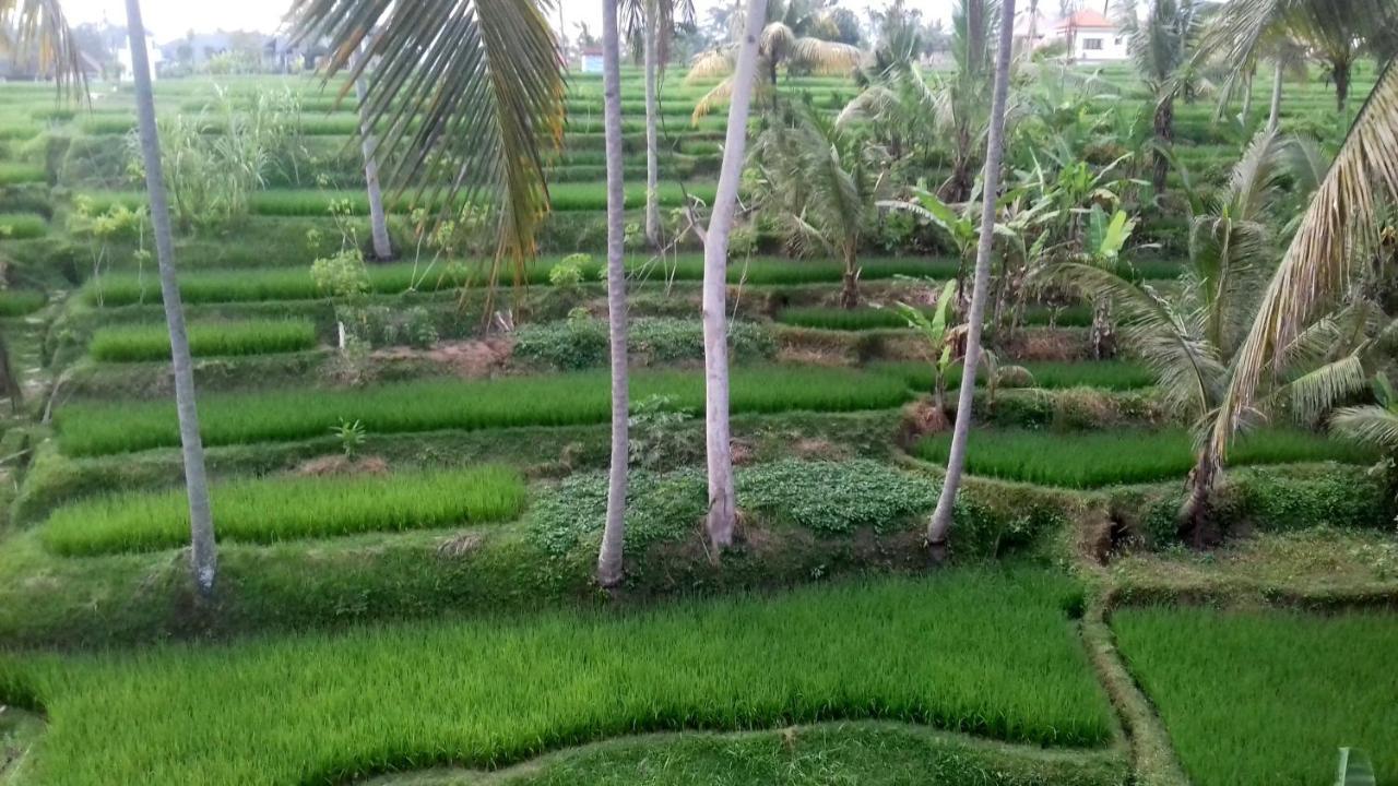 Junjungan Suite Ubud Exteriér fotografie